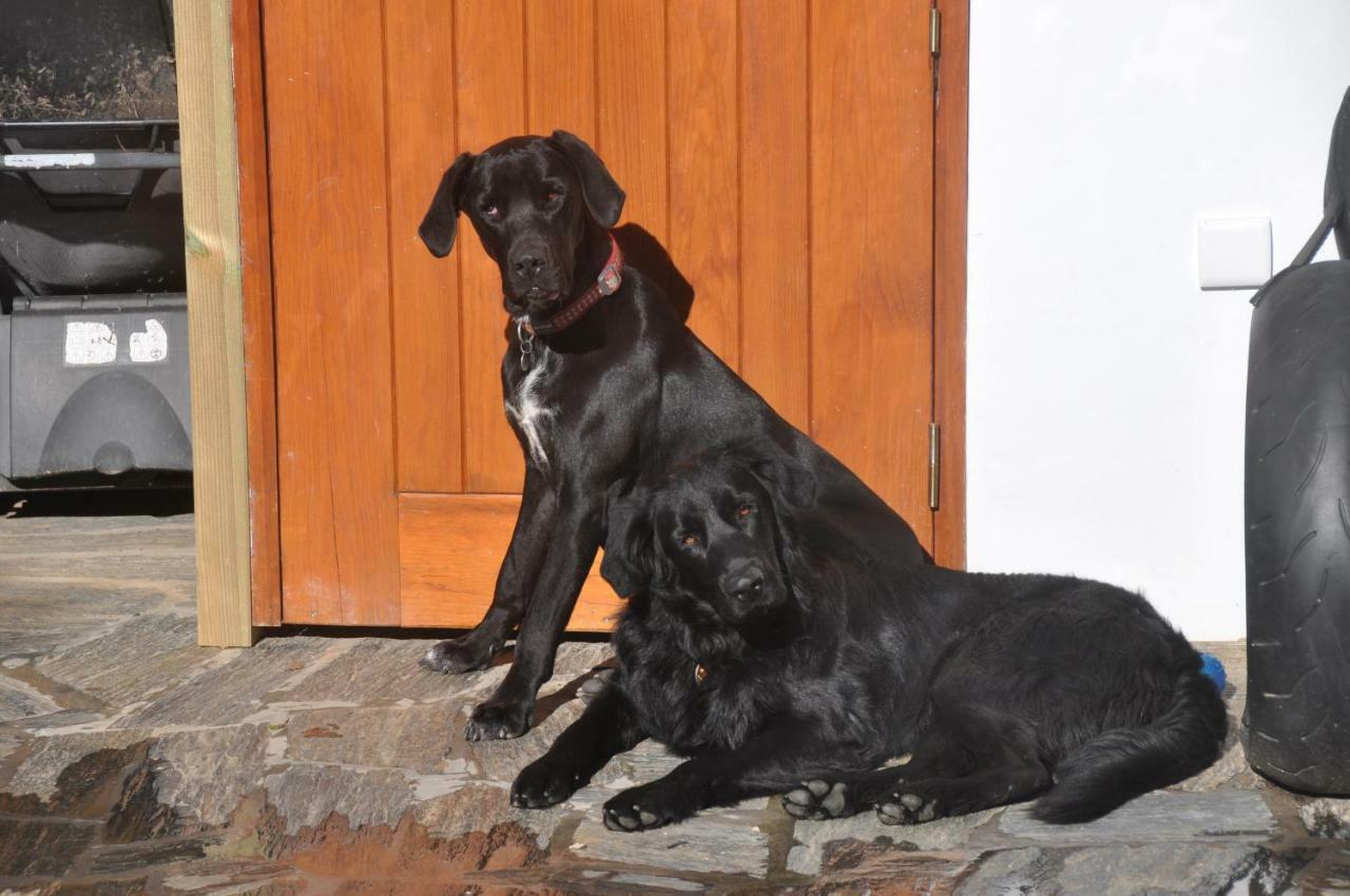 Pensjonat Quinta Do Bom Vento Óbidos Zewnętrze zdjęcie